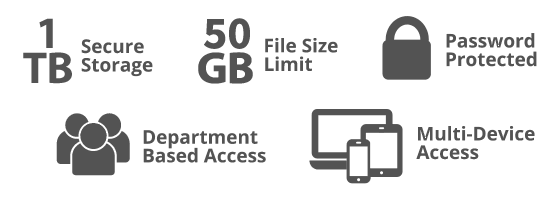 1 tb secure storage, 50 gb file size limit, password protected, department based access, multi-device access